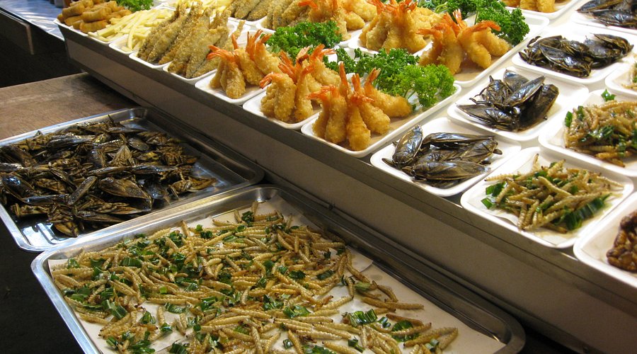 bugs-and-larvae
